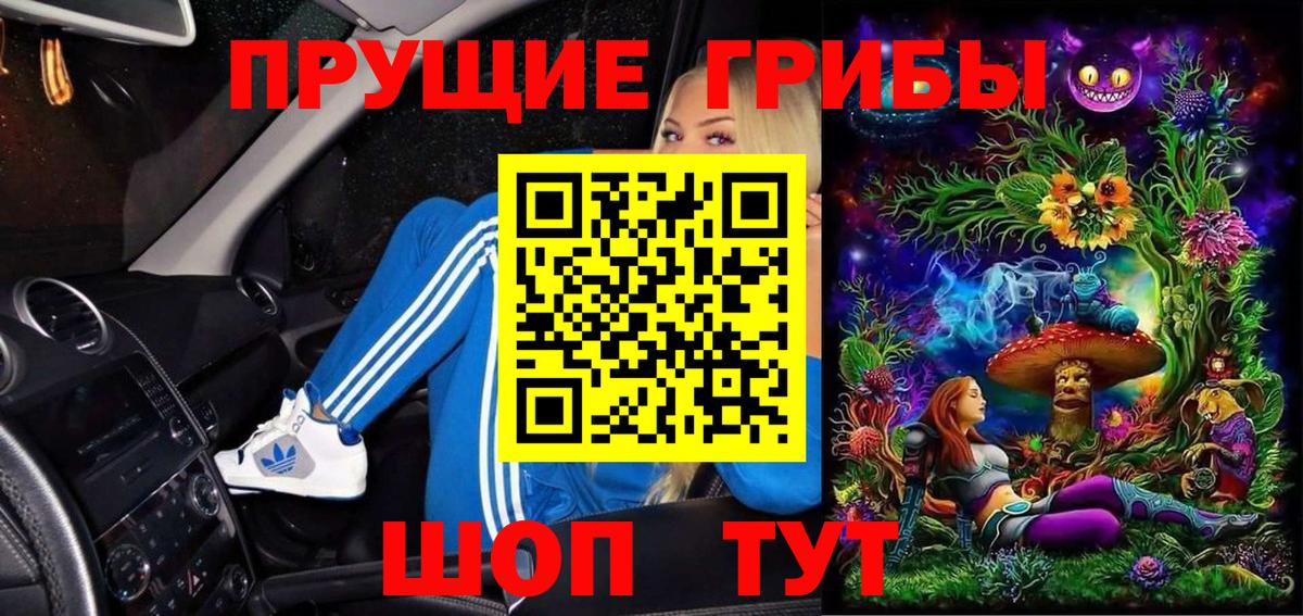 Псилоцибиновые грибы Psilocybe  Вход с VPN  Красногорск 