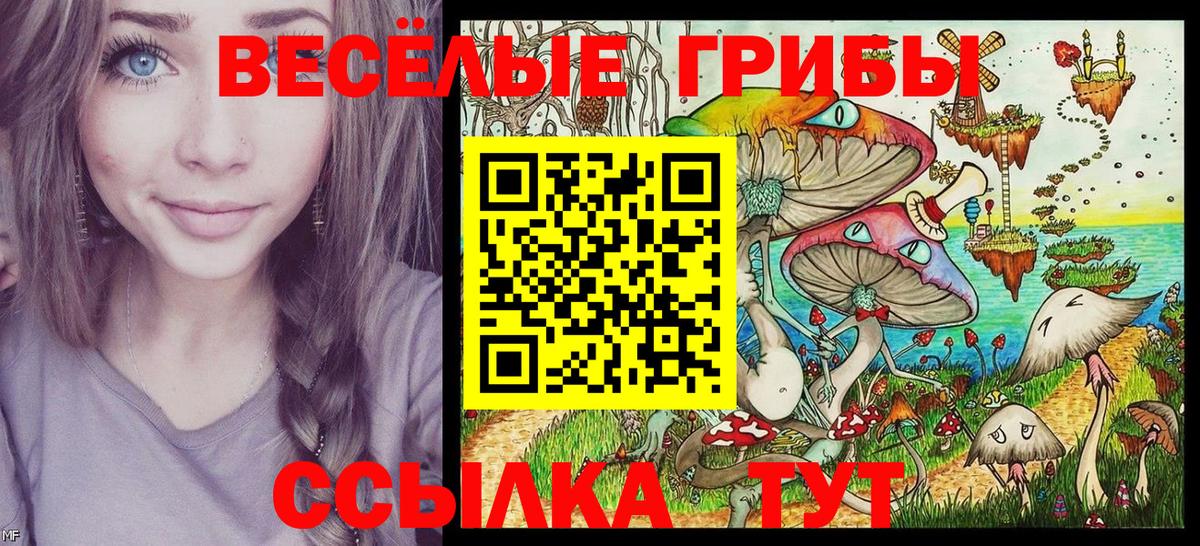 Галлюциногенные грибы Magic Shrooms Красногорск