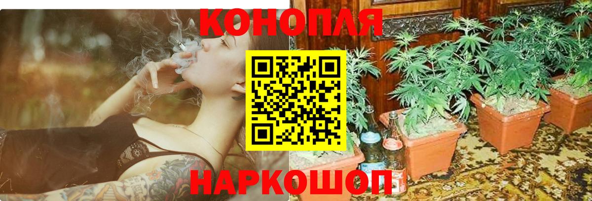МАРИХУАНА LSD WEED  Вход с VPN  Шишки марихуана индика  Красногорск  Канабис ГИДРОПОН 